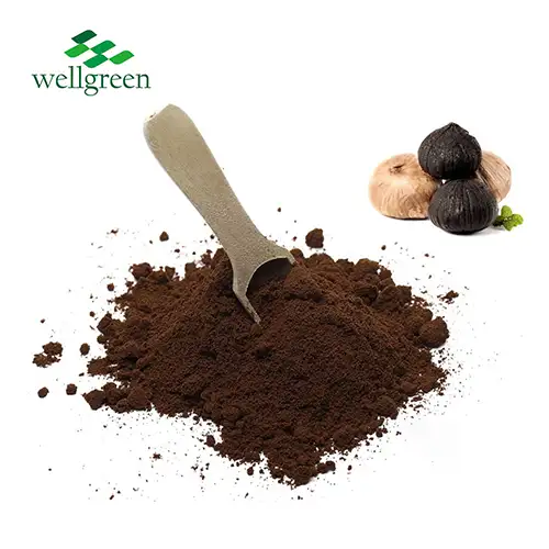 Black Garlic Extract Powder